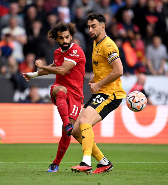 累计获得了 累计获得了