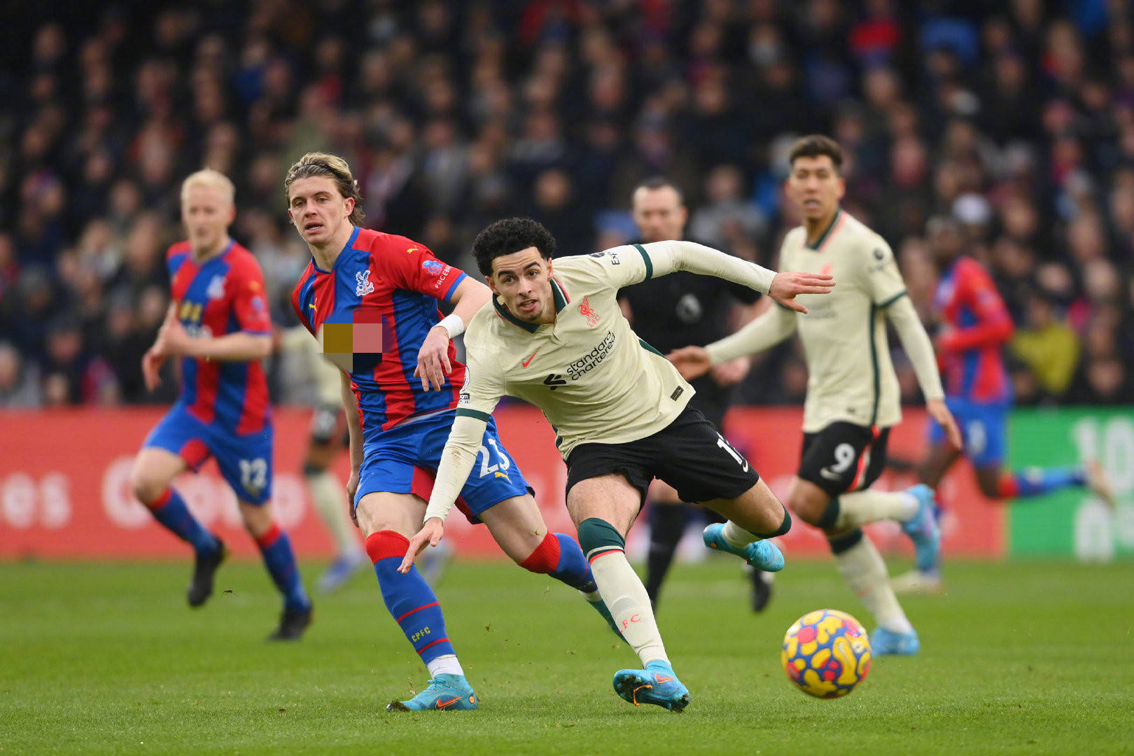 友谊的赞美 友谊的赞美